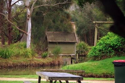 Friday 20-10-2017 Mogo Zoo  These are animal enclosures isolated by a surrounding moat.  I believe they are for two chimpanzees that have been languishing in a pair of shipping containers for the past two years. Bloody hell but we treat our nearest relatives badly.