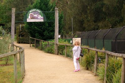 Friday 20-10-2017 Mogo Zoo  This is a wonderful zoo. Sure, it can be criticised for some of its old fashioned enclosures but this fades into insignificance when viewed from above: it is part of a world-wide network of zoos working to prevent these wonderful creatures from disappearing completely under the onslaught of humans. For this, Mogo Zoo is to be commended and recommended.