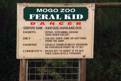 Friday 20-10-2017 Mogo Zoo  Not too many of these out today - they were mostly inside cages at the local schools.