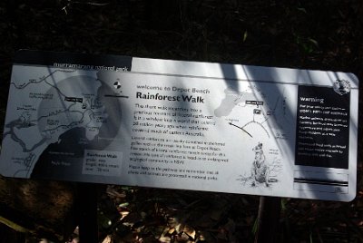 Saturday 21-10-2017 The bush walk  The track is well signposted with lots of interesting information along the way about the rain forest and its inhabitants