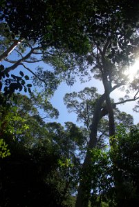 Saturday 21-10-2017 The bush walk