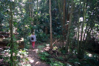 Saturday 21-10-2017 The bush walk