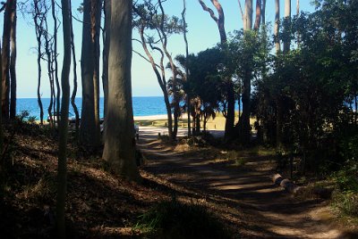 Saturday 21-10-2017 The bush walk  A little piece of paradise and it's no longer raining.