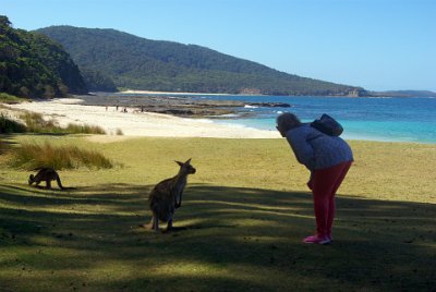 Saturday 21-10-2017  Depot Beach  "Hello.  My name is Skippy. Do you have any food?"