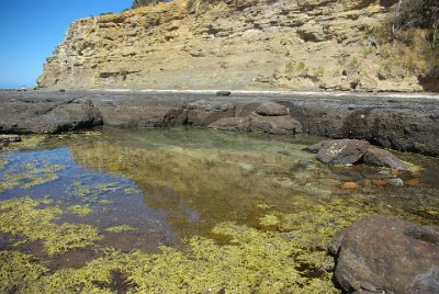 Saturday 21-10-2017 Depot Beach Rocks  On top of that rock, a short distance away, is a worn-away cliff made of sandstone that had been laid down over millions of years at a later time.