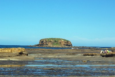 Saturday 21-10-2017 Depot Beach Rocks - JGR  That's Grasshopper Island in the distance. What intrigues me is that the sandstone, sitting on the harder sedimentary rock of the island, was once a  part of the sandstone cliff to our right.