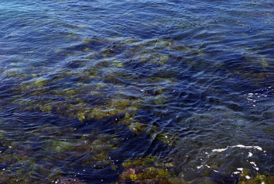 Saturday 21-10-2017 Depot Beach Rocks  The water is very clear today.