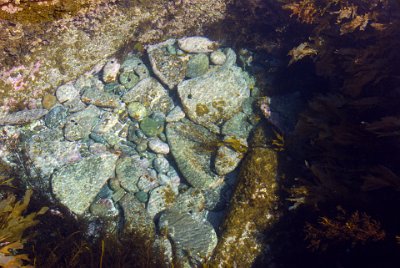 Saturday 21-10-2017 Depot Beach Rocks  Rock pool.  The stones at the bottom are polished smooth by wave action. Amazing.