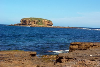 Saturday 21-10-2017 Depot Beach Rocks  The nearby Grasshopper Island is a shorebird rookery and makes for excellent birdwatching. Sooty oyster catchers, white-faced storm petrels and even little penguins can be seen here.