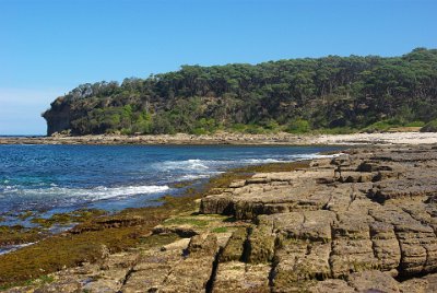 Saturday 21-10-2017 Depot Beach Rocks  I walk around the headland and there is a tiny little beach there.