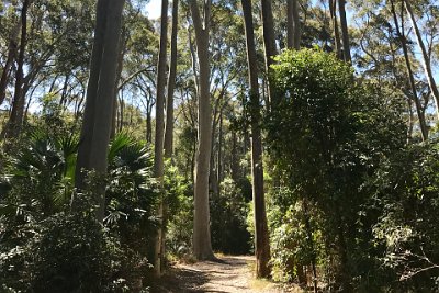 Saturday 21-10-2017 Marie-Therese - JGR  After a very long chat and a cuppa tea, we leave and return to camp. We return to Depot Beach to find that the mattress has dried and most of the bed clothes are dry as well. We refit the mattress and bedclothing.