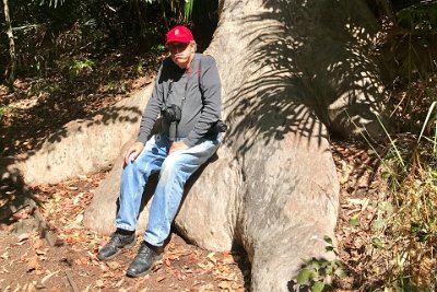 Saturday 21-10-2017 The bush walk - JGR  I rests me weary body