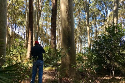 Saturday 21-10-2017 The bush walk - JGR  Look at the next picture to see the result.