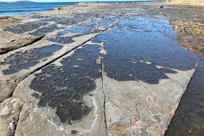 Saturday 21-10-2017 Depot Beach Rocks - JGR  Honeycomb weathering of sandstone occurs when salt crystallises in the pore space of rock, causing the mineral grains to separate. Sand is then swirled around causing erosion and creating the honeycomb effect.