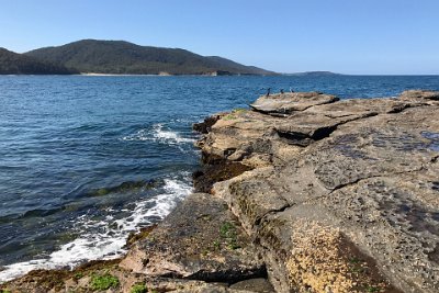 Saturday 21-10-2017 Depot Beach Rocks - JGR  Some seabirds take a rest. Pebble Beach is in the distance.