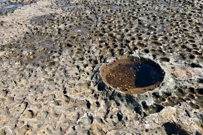 Saturday 21-10-2017 Depot Beach Rocks - JGR    In parts, it looks like the surface of the moon but It is a natural process caused by salt crystallising in the pore spaces of the rock, Plenty of salt in the oceans.