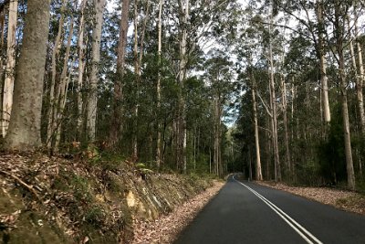 Thursday 19-10-2017 The trip there  The air smells different here.