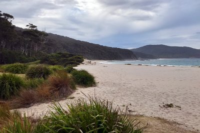 Thursday 19-10-2017 At Depot Beach  Anyway, it is now as it was then in the time of the early European explorers: completely unspoiled.