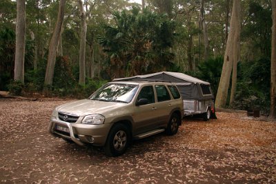 Thursday 19-10-2017 At Depot Beach  So here we are, camping on the edge of an old-growth forest with the beach just 100 metres away. Is this paradise or what?