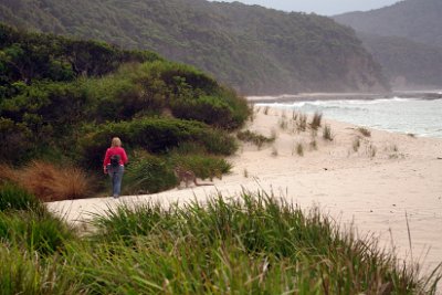 Thursday 19-10-2017 At Depot Beach  Maybe that's why it is such a beautiful spot: it hasn't been trashed by commercial intetests.