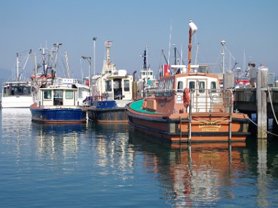 PENT2752-1     MONDAY The Eden Wharf  There are two types of fishery management tools in NSW.  INPUT controls include restrictions on the number of licences, the size and engine capacity of boats, the length and mesh size of nets, and the areas and times that can be worked.