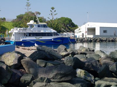 PENT2754-1     MONDAY The Eden Wharf  The area receives 550,000 tourists annually which contributes AU$180 million yearly to the economy of the shire.  Many people visit Eden for whale watching as whales migrate from Antarctic to tropical waters in June and July, and back again later in the year.