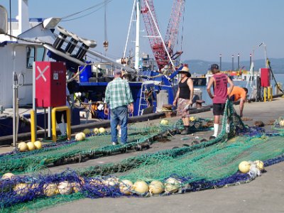 PENT2762-1     MONDAY The Eden Wharf  There is a lot of hard work involved to prosper/survive in the fishing industry. We are fortunate to see fishing nets being repaired; a highly labour intensive procedure.