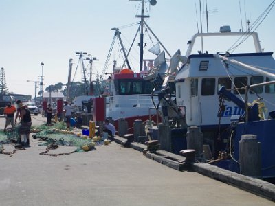 PENT2774-1     MONDAY The Eden Wharf  According to the 2016 census of Population, there were 3,151 people in Eden, with 79.1%  born in Australia and 88.0% speaking only English at home.