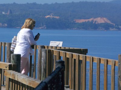 TEL 1844-1     MONDAY Eden Rotary Park and Lookout  Reading a little about the ocean's animals.