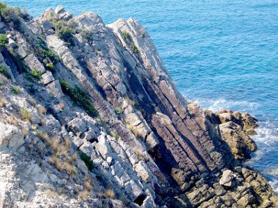 TEL 1854-1     MONDAY Lookout Point  Look at the angle of these rocks that were once horizontal. The power to do this must have been enormous and I wonder (speculate?) if this was caused when NZ broke away from this part of Australia 80 Million years ago.