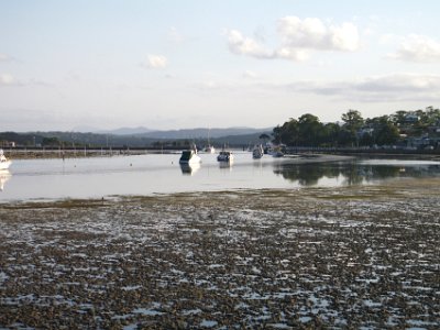 PENT2647-1     SATURDAY Into Merimbula  The tide is out. This exposes the mud flats and the oyster farms.