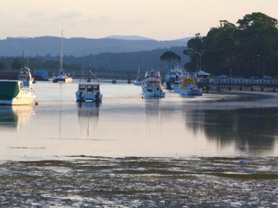 TEL 1838-1     SATURDAY Into Merimbula  Quite amazing that these boats and oyster farms can co-exist. Oysters are very sensitive to human pollution.