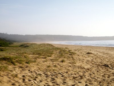 SUNDAY MORNING  Tura Beach  Tura Beach continues north for 1.9 kms.  This is a holiday weekend but there's not a soul on the beach.