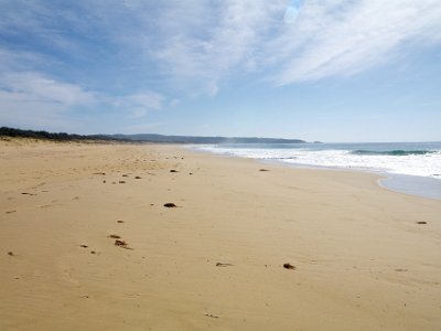 SUNDAY Bournda Beach  Looking to the north, the beach stretches for 3 km.