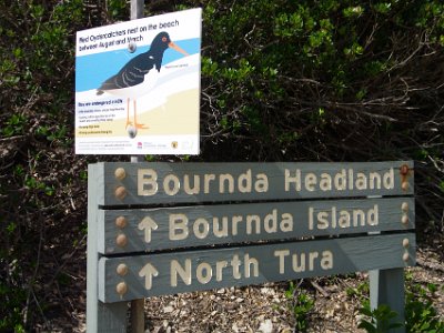 SUNDAY Bournda Beach  Having left my sandals back at the portal, I climb the headland in my bare feet.  It's very painful and I don't get far.