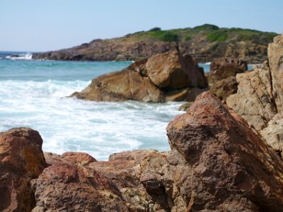 SUNDAY Bournda Headland