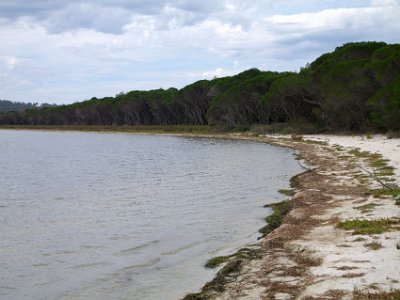 SUNDAY Wallagoot Lake  The more easterly end of Wallagoot lake is nearby  so we take a short walk to visit it.  It seems Hobart Beach is on the Eastern end of the lake somewhere but we never positively identify it.