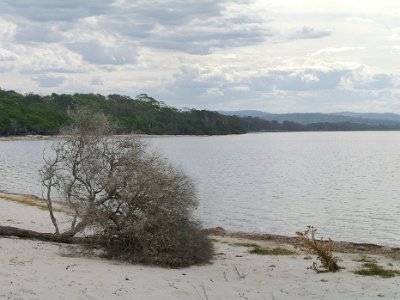 SUNDAY To Wallagoot Lake  At least this end, nearer the ocean, doesn't look completely awful. Tonight, we go back into Merimbula and a have a fairly decent Thai dinner.