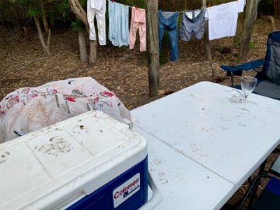 TUESDAY MORNING At camp  During the night we're visited by possums who have no luck opening the ice box but manage to break a wine glass.