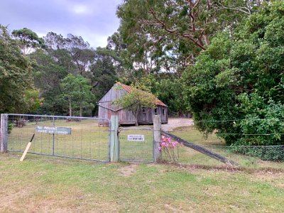 TUESDAY Scotts Bay  This area was once cleared for the grazing of sheep or cattle. The Parks & Wildlife Service is maintaining the picnic area but is letting nature regrow the natural bushland in areas that aren't needed.