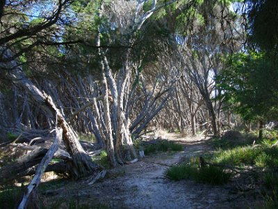 TUESDAY North Tura Beach  It's very easy and pleasant walking though.