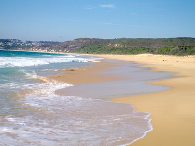 TUESDAY North Tura Beach  The rip here is particularly obvious. On the right is the Melaleuca forest through which we walked just now.