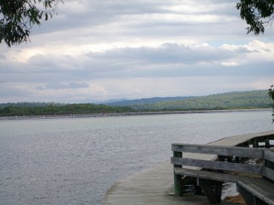 TUESDAY The Merimbula Boardwalk  Oyster leases in what the locals refer to as the Top Lake.