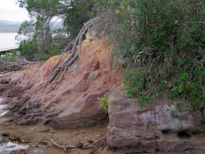 TUESDAY The Merimbula Boardwalk  These are part of the same pink rock strata that we saw yesterday in Eden. It was laid down  360 million years ago.