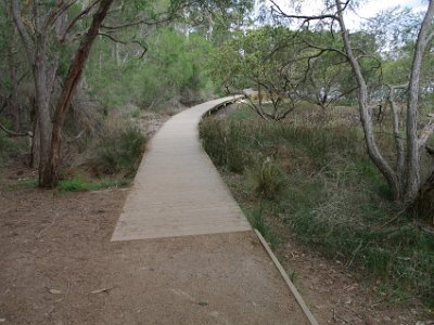 TUESDAY The Merimbula Boardwalk  We reach the end of the boardwalk - almost.