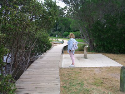 TUESDAY The Merimbula Boardwalk  There's another small patch that we cross.  At this point, our feet are screaming for relief so we go no farther.