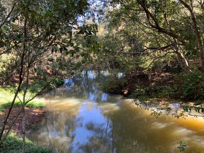 We pick Jordan up from the skate park and drop him off at home. We then drive out of town a short distance to the Yungaburra Platypus Viewing platform. With typical human arrogance, we assume that the platform is there so that we can view the Platypus in their native environment.