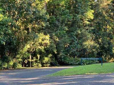 This small area is a National Park and it's easy to imagine how the whole of Yungaburra was once a Mabi forest and looked like this.