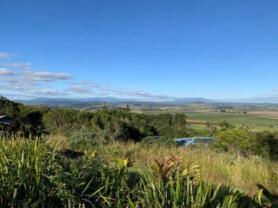 Our next stop is Halloran's Hill Conservation Park, the highest spot in Atherton. Halloran's Hill is an extinct volcanic cone that is home to a eucalypt forest and a fragment of an endangered Mabi forest; it is very near Judy and Neil's place. We take movies from here as the scenery does not fit into a single picture