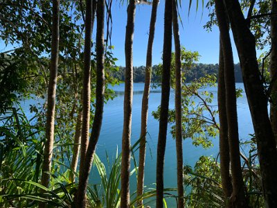 Crater Lake is part of the Atherton volcanic province which covers an area of 1800 km2. The province contains 52 eruptive centers, including small lava shields, cinder cones, maars, and one diatreme at Mt Hypipamee. The maars, the only ones in Northern Queensland, range in age from 200,000 to 10,000 years before present.  Reference   Atherton Volcanic Province